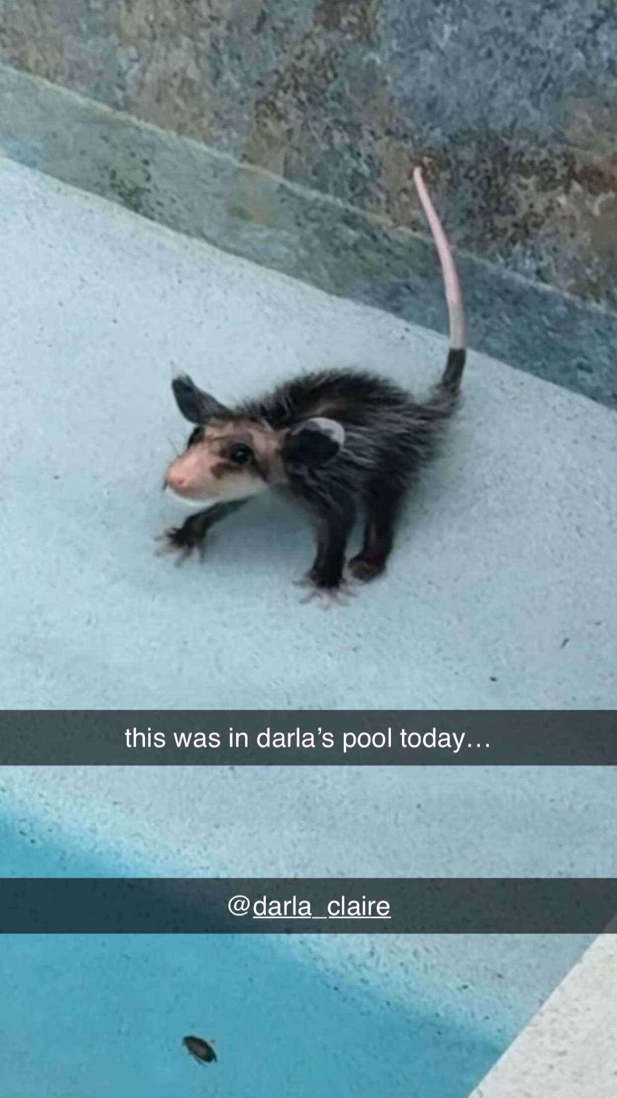 sadie.mckenna snapchat image archive image