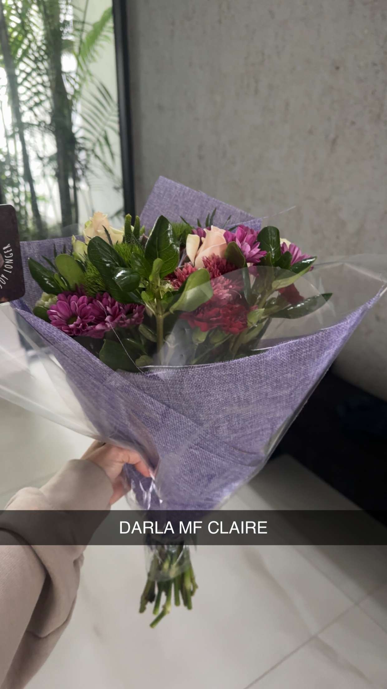 sadie.mckenna snapchat image archive image