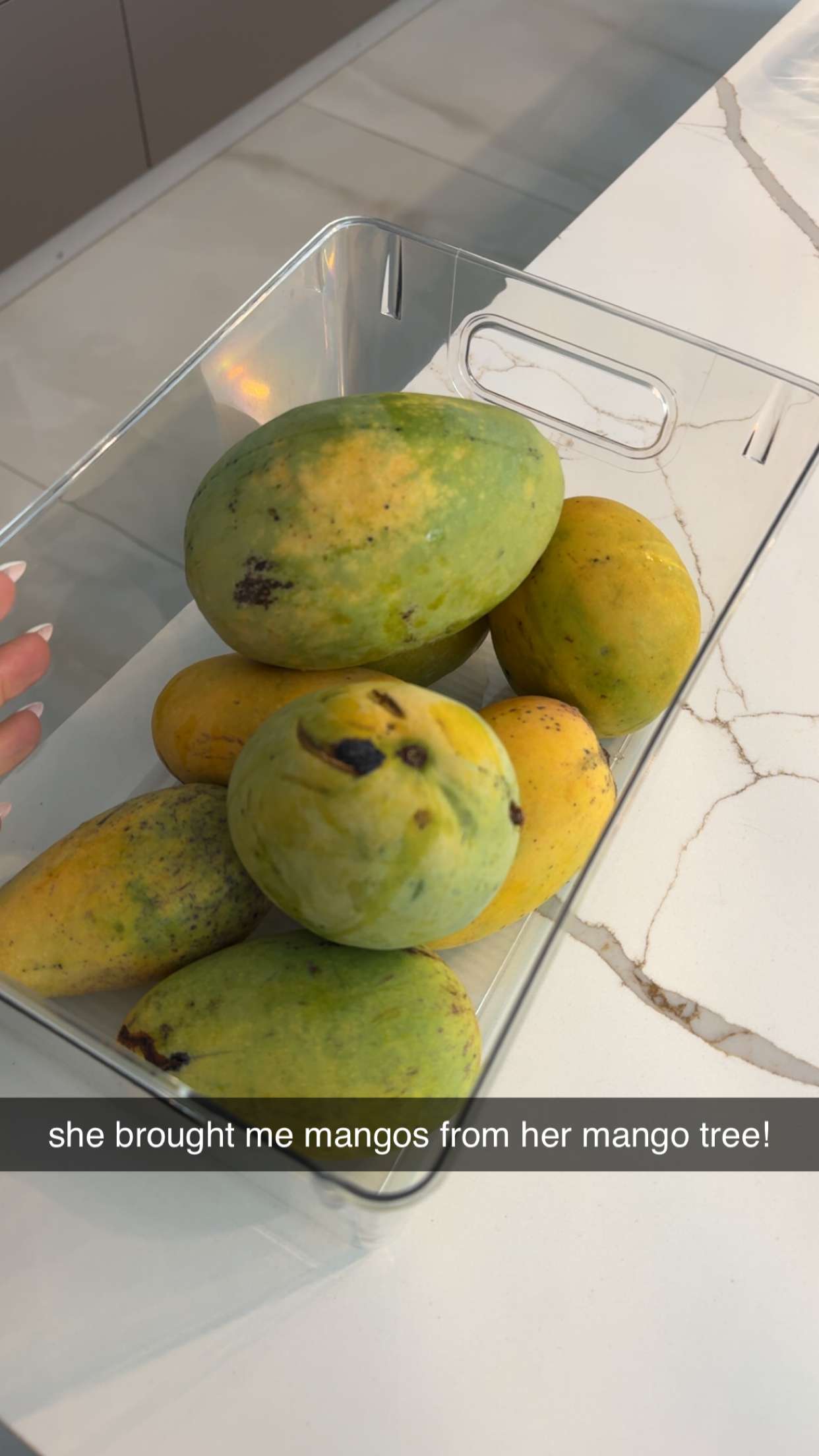 sadie.mckenna snapchat image archive image