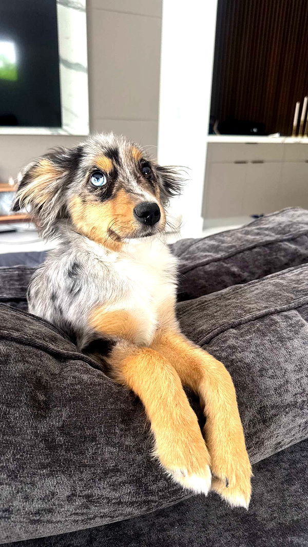 sadie.mckenna image ~ Altpins