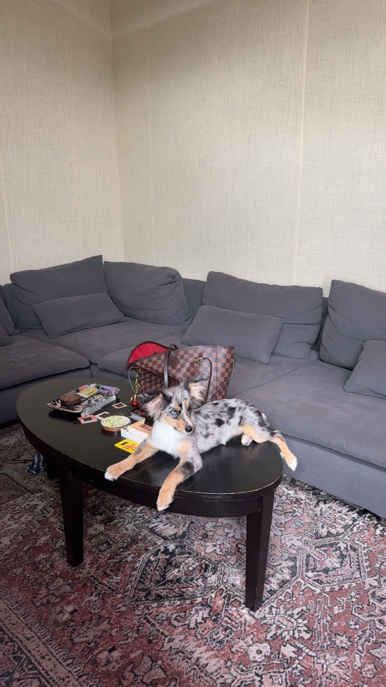 sadie.mckenna snapchat image archive image