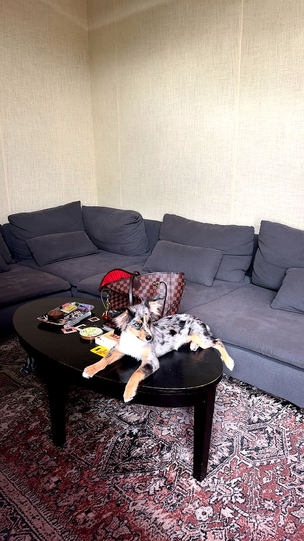 sadie.mckenna image ~ Altpins