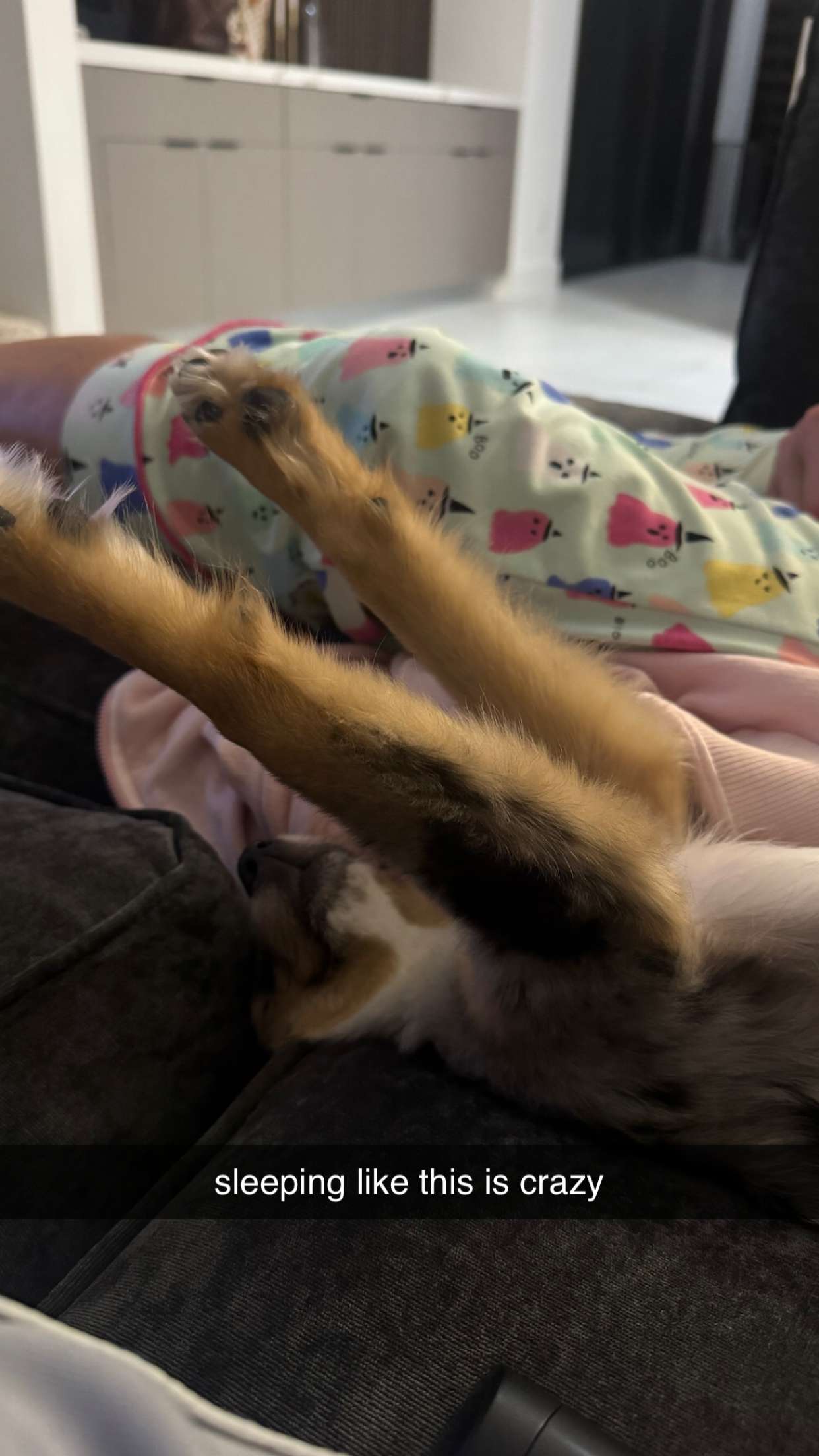 sadie.mckenna snapchat image archive image