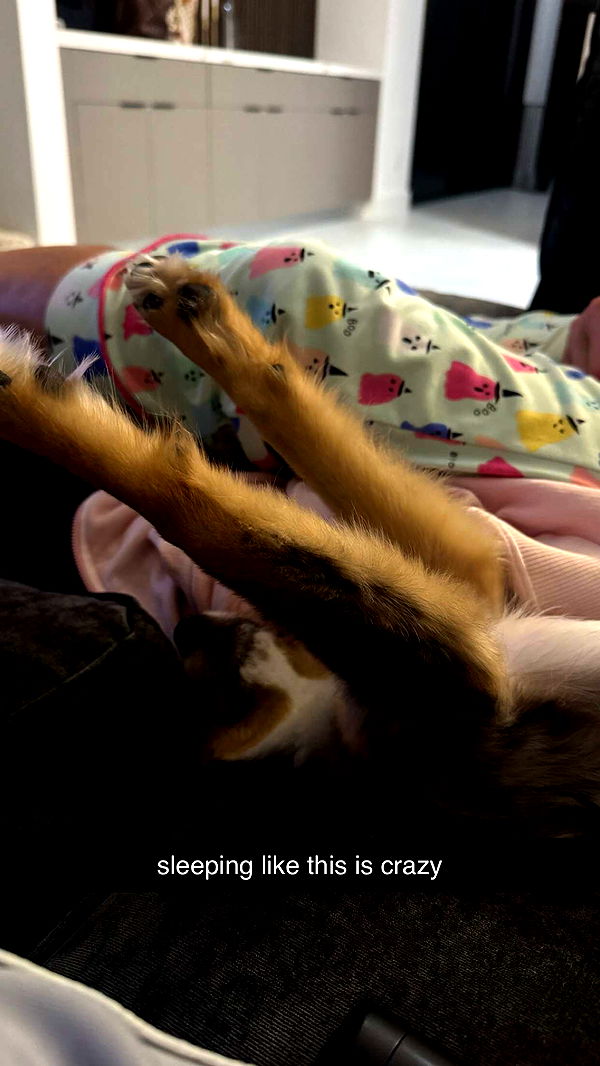 sadie.mckenna image ~ Altpins