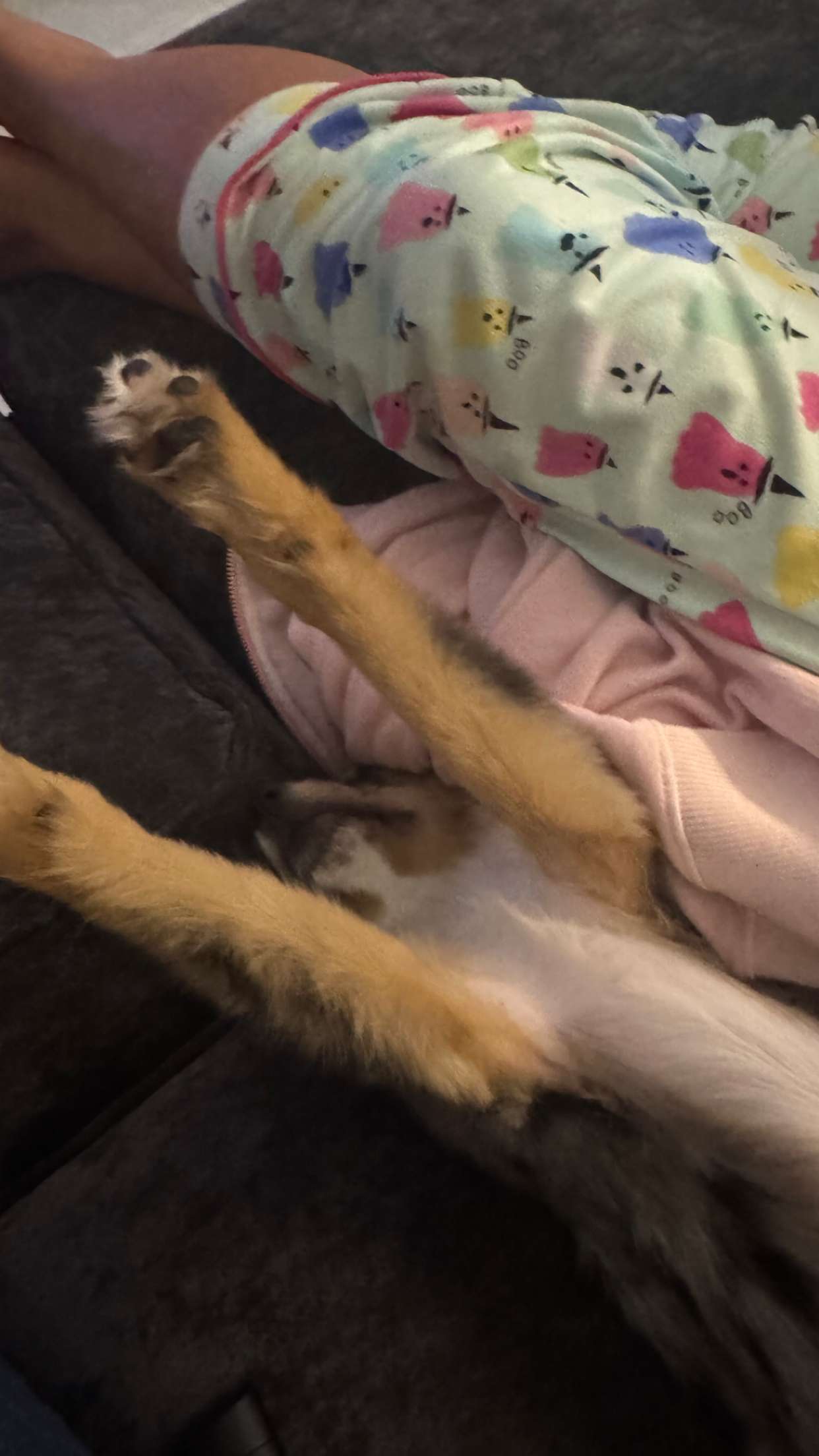 sadie.mckenna snapchat image archive image