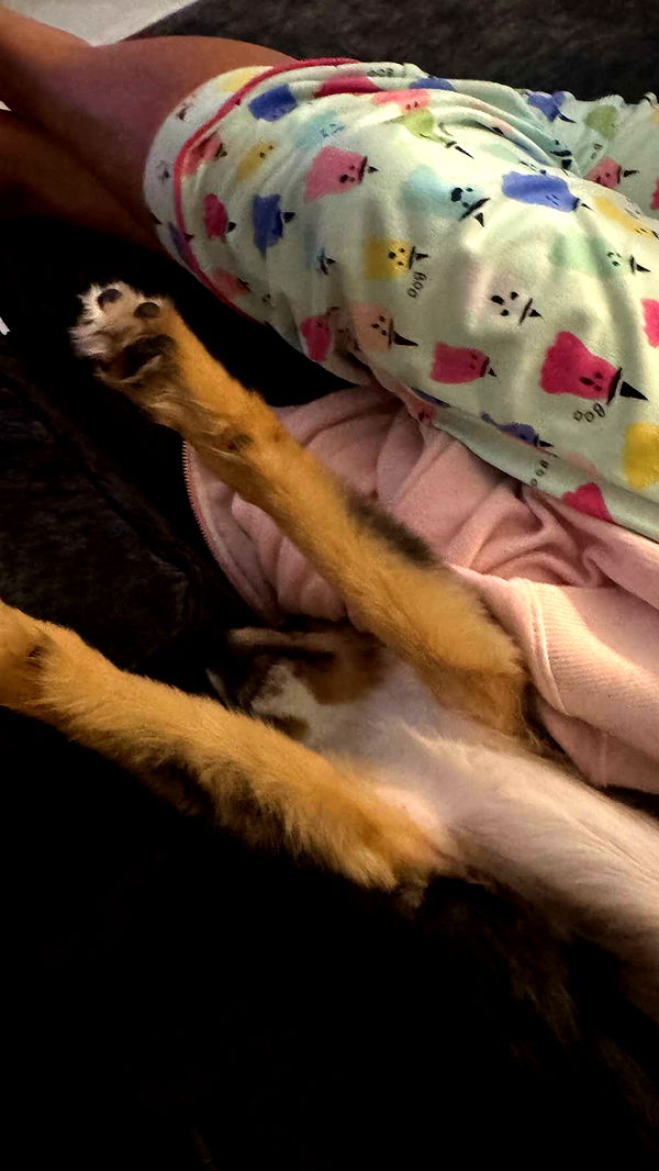 sadie.mckenna image ~ Altpins