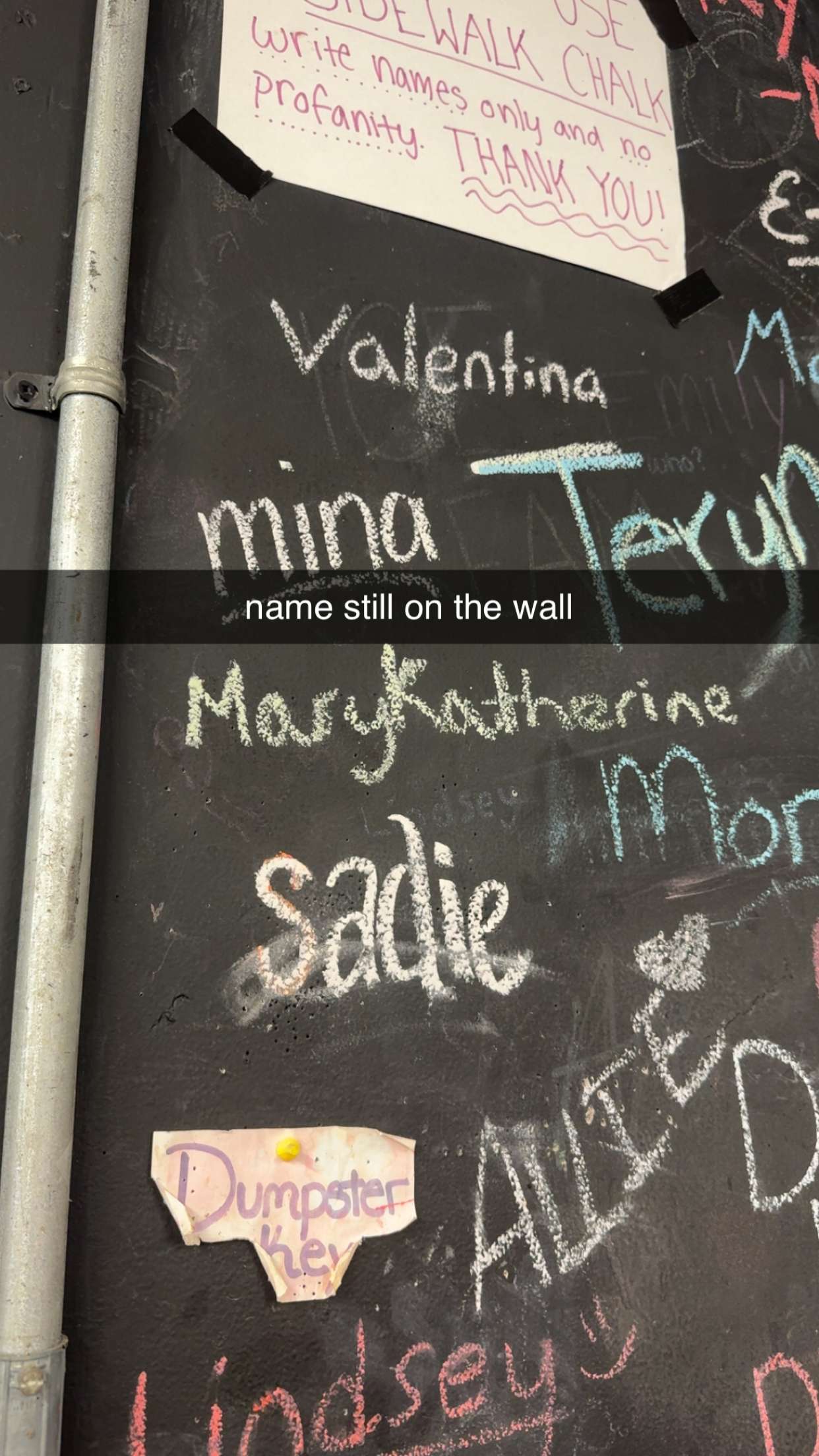 sadie.mckenna snapchat image archive image