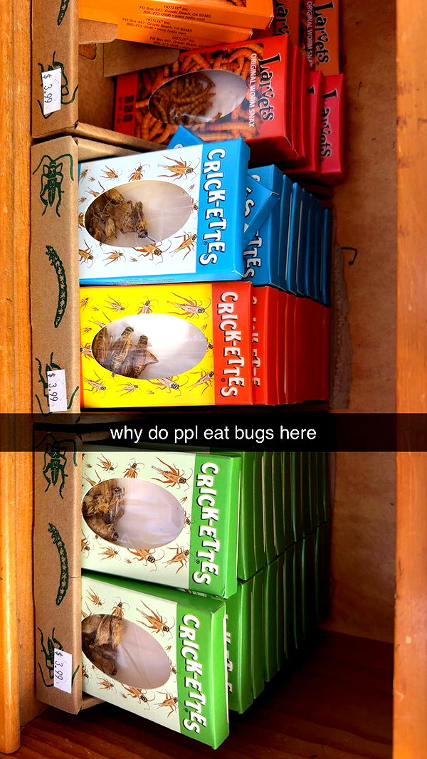 sadie.mckenna image ~ Altpins