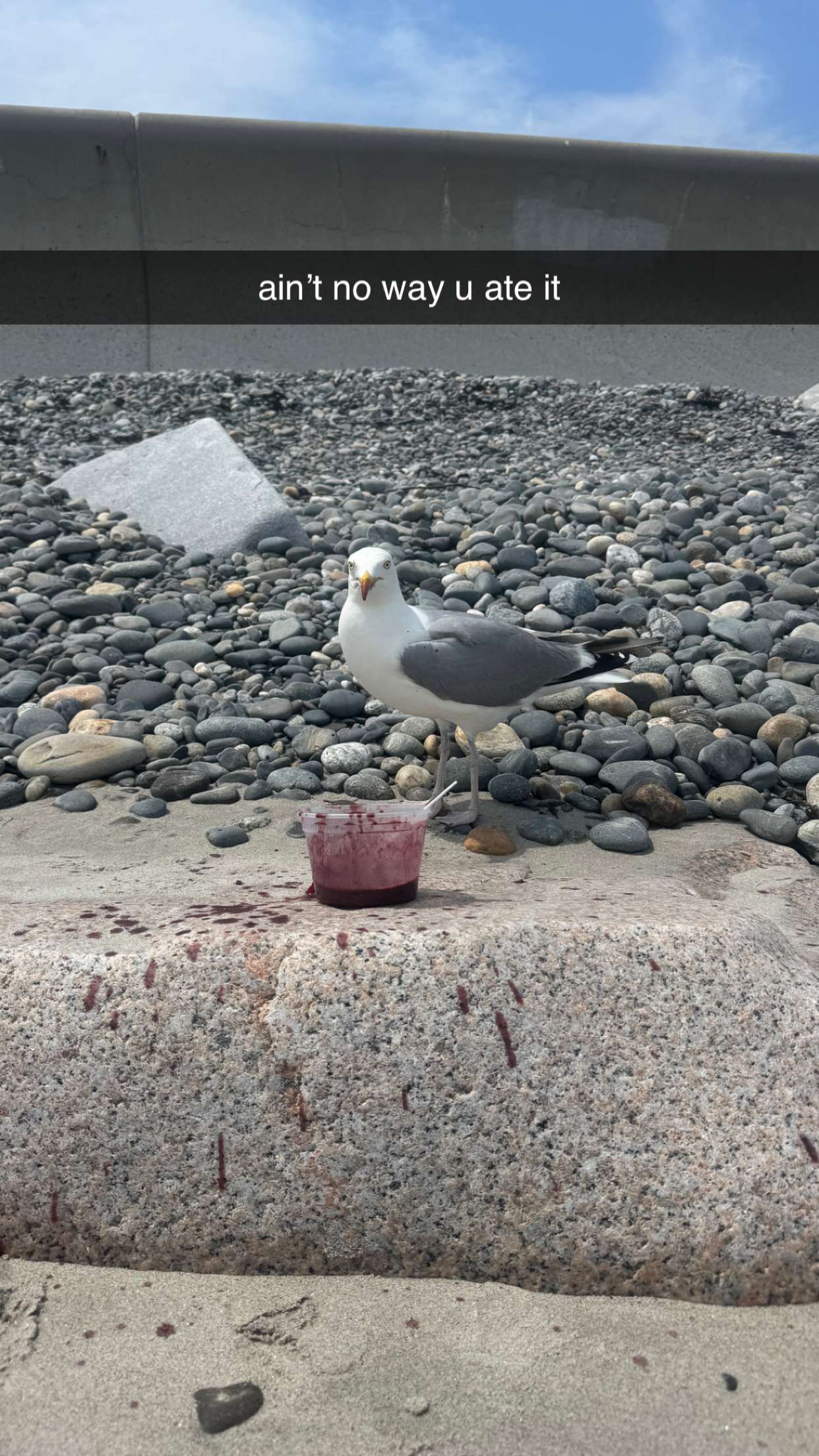 sadie.mckenna snapchat image archive image