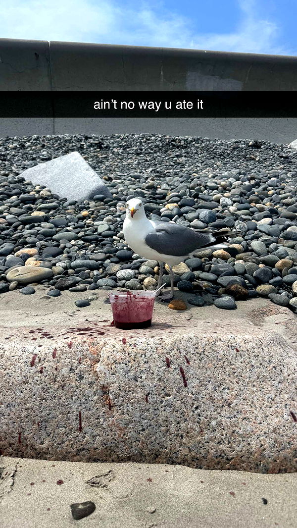 sadie.mckenna image ~ Altpins