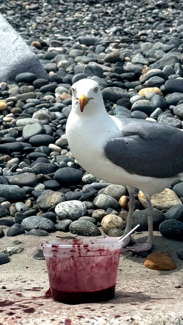 sadie.mckenna image ~ Altpins