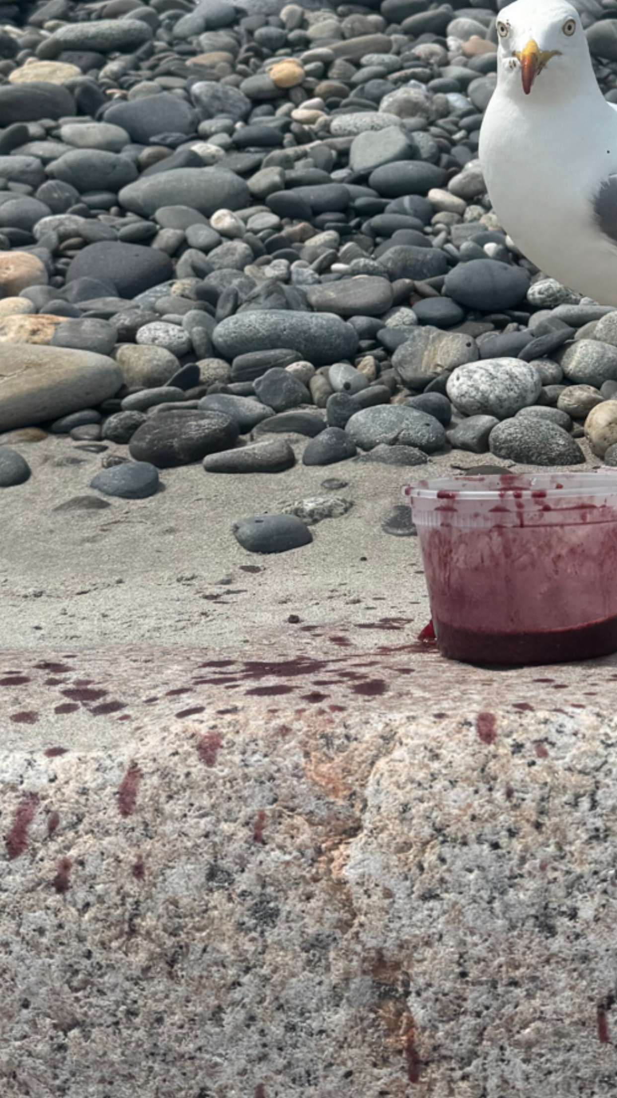 sadie.mckenna snapchat image archive image