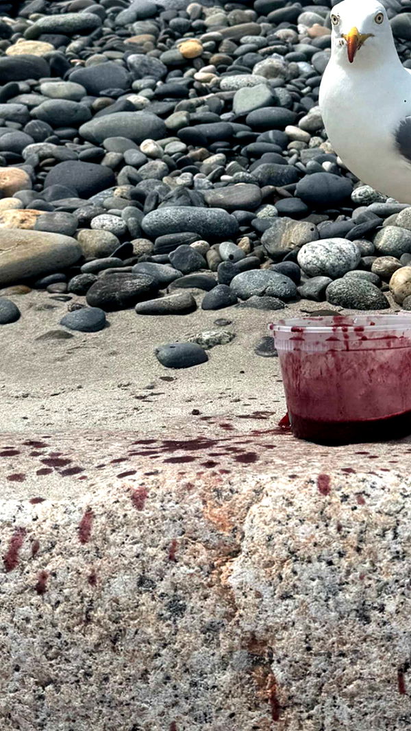 sadie.mckenna image ~ Altpins