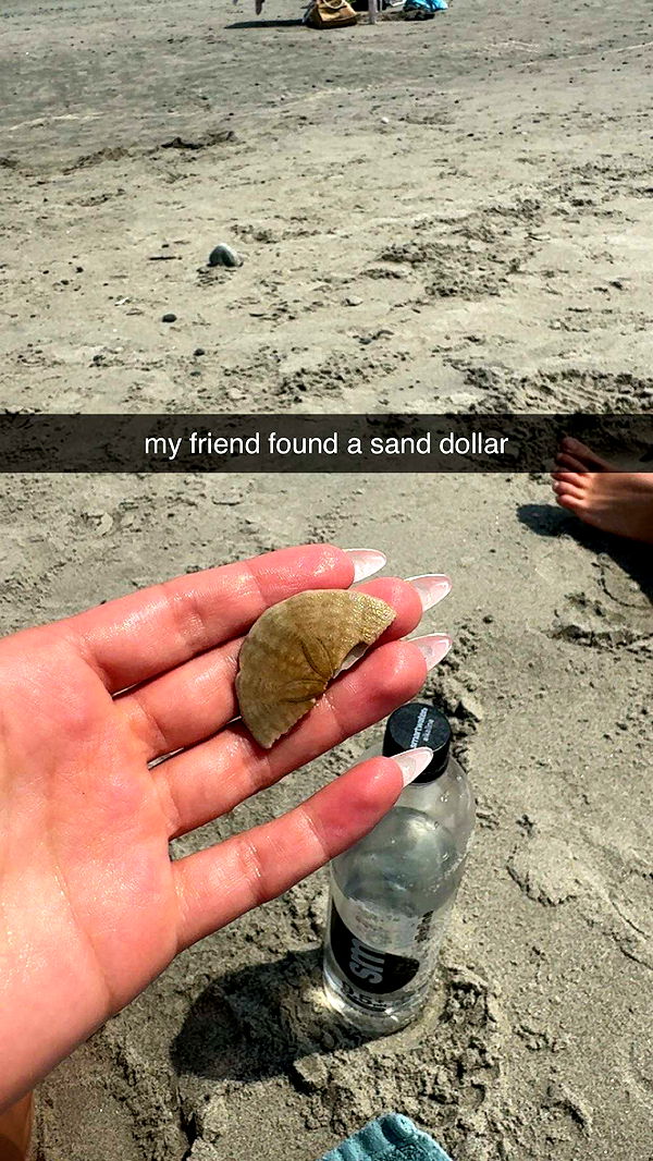 sadie.mckenna image ~ Altpins