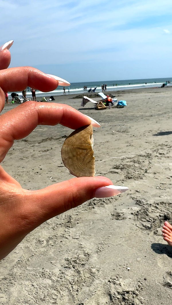 sadie.mckenna image ~ Altpins