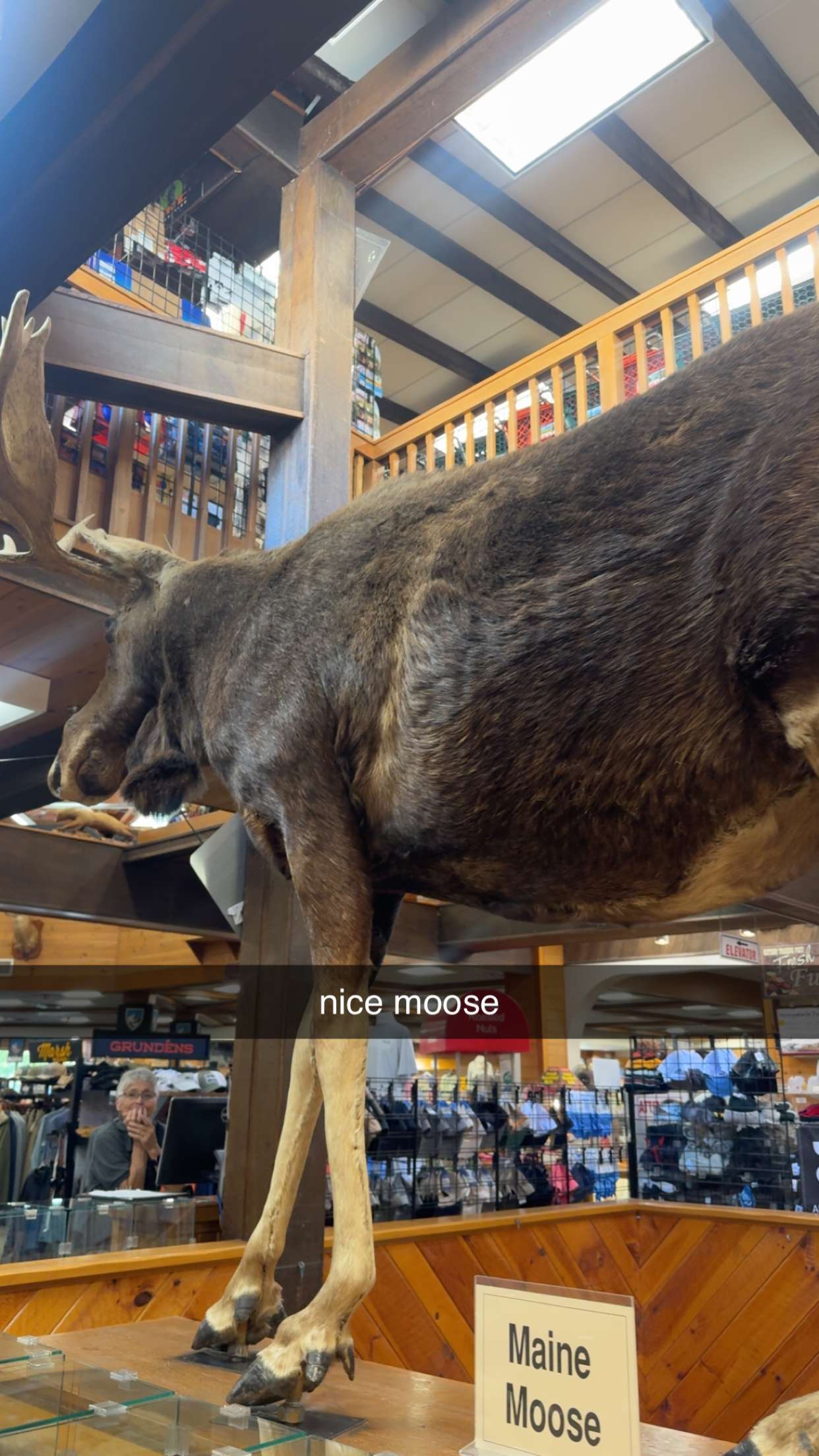 sadie.mckenna snapchat image archive image