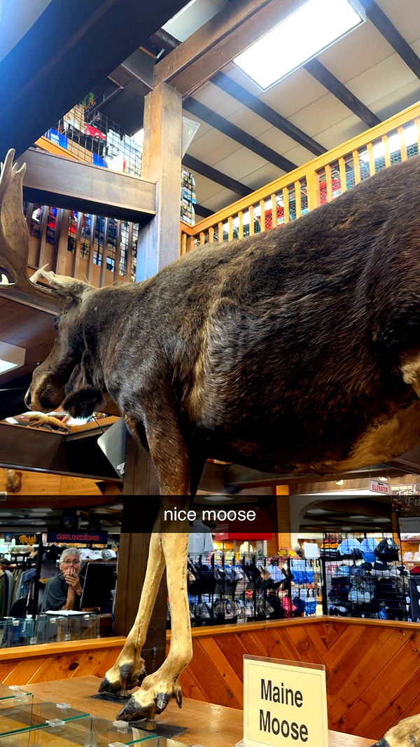 sadie.mckenna image ~ Altpins