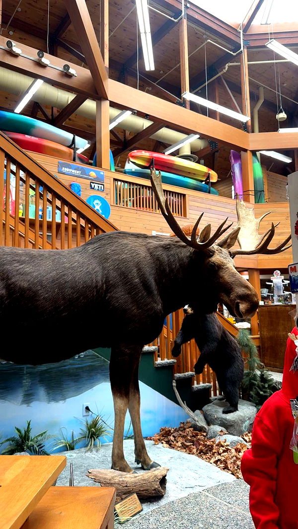 sadie.mckenna image ~ Altpins