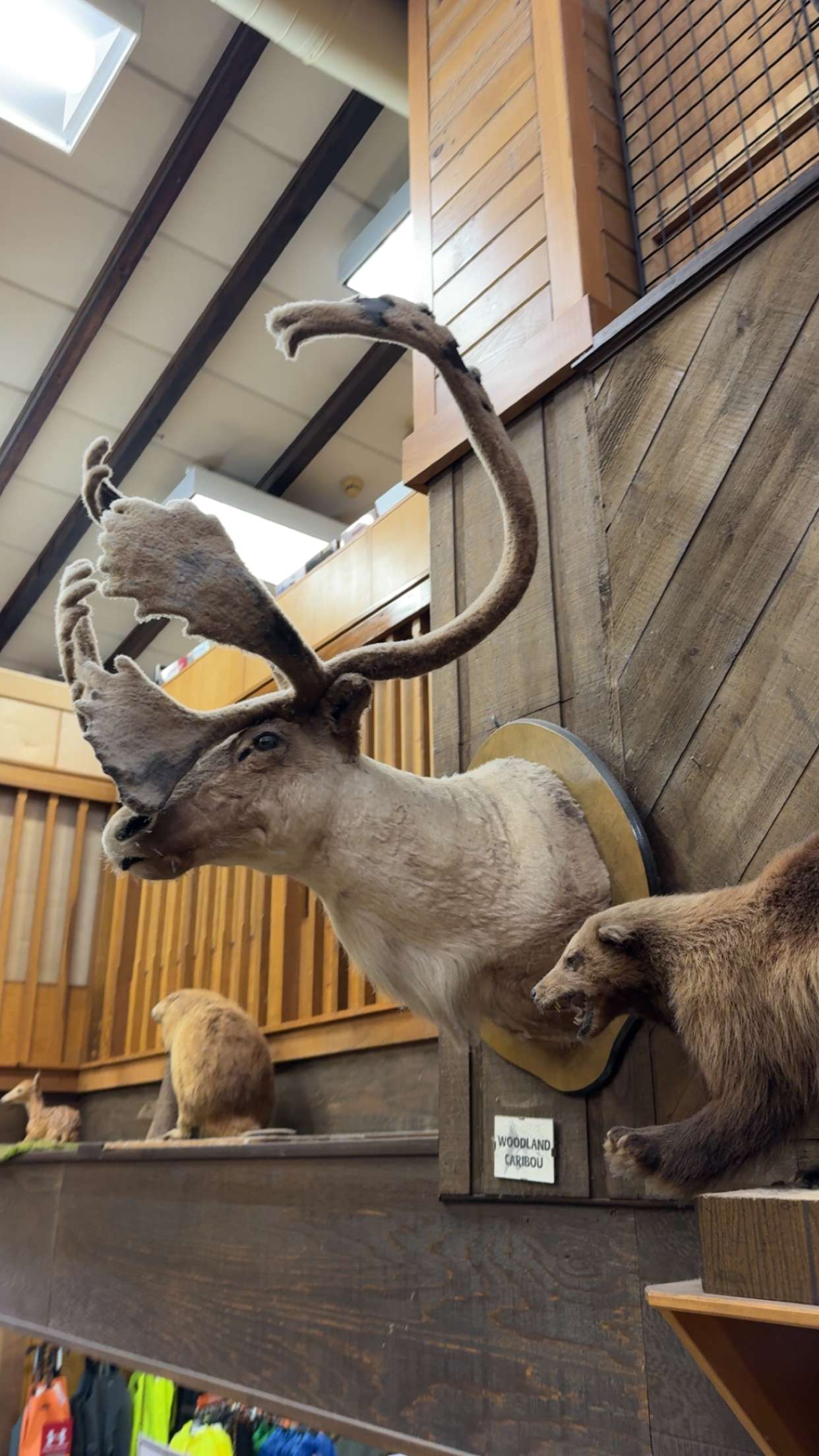 sadie.mckenna snapchat image archive image