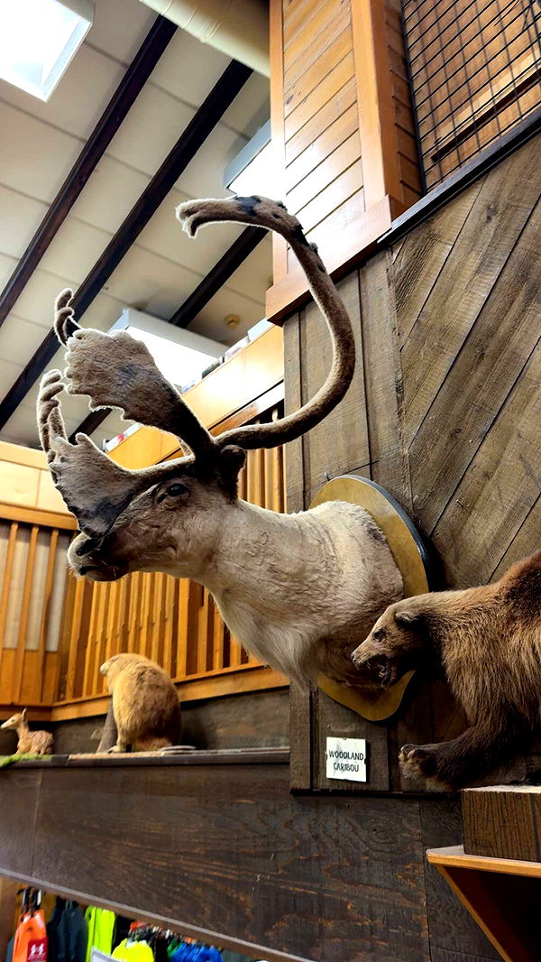 sadie.mckenna image ~ Altpins