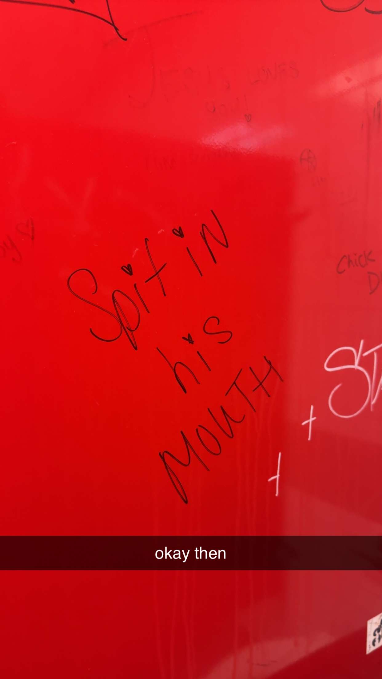 sadie.mckenna snapchat image archive image