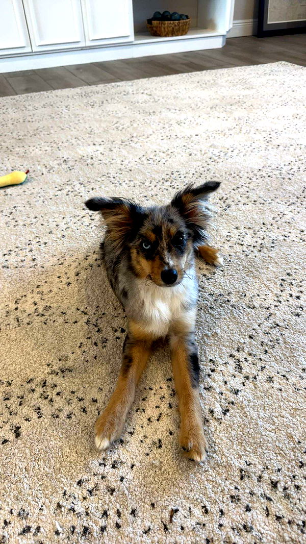 sadie.mckenna image ~ Altpins