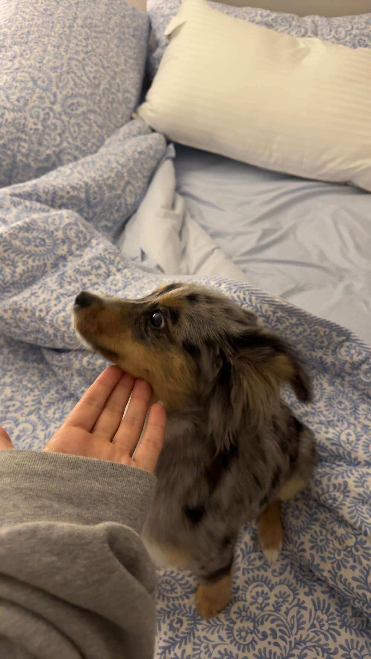 sadie.mckenna snapchat image archive image