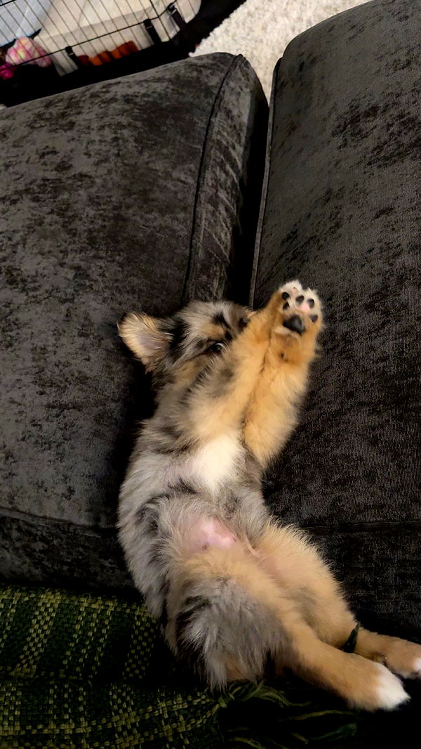 sadie.mckenna image ~ Altpins