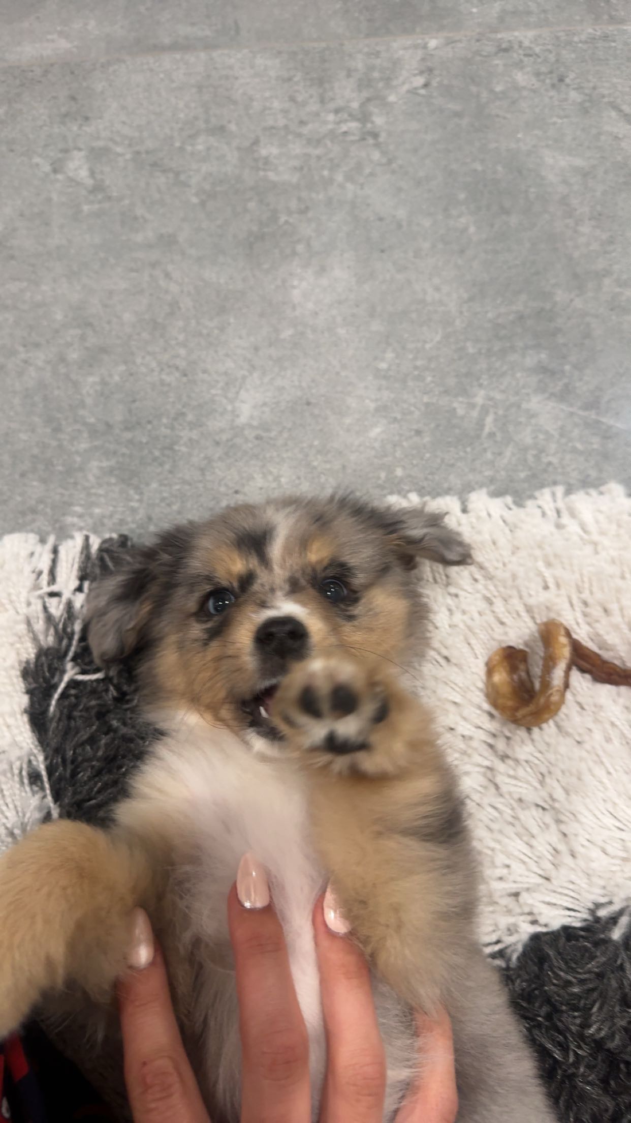 sadie.mckenna snapchat image archive image