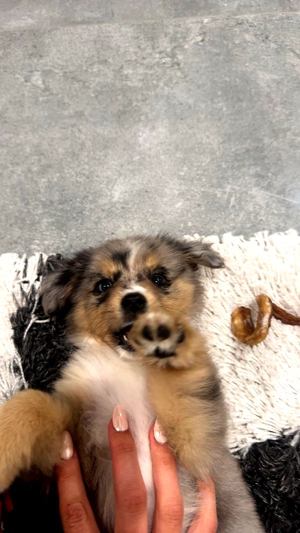 sadie.mckenna image ~ Altpins