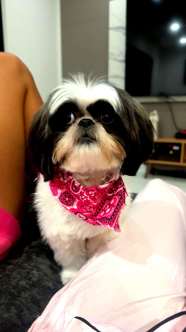 sadie.mckenna image ~ Altpins