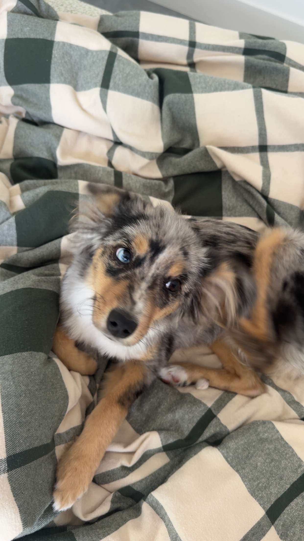 sadie.mckenna snapchat image archive image