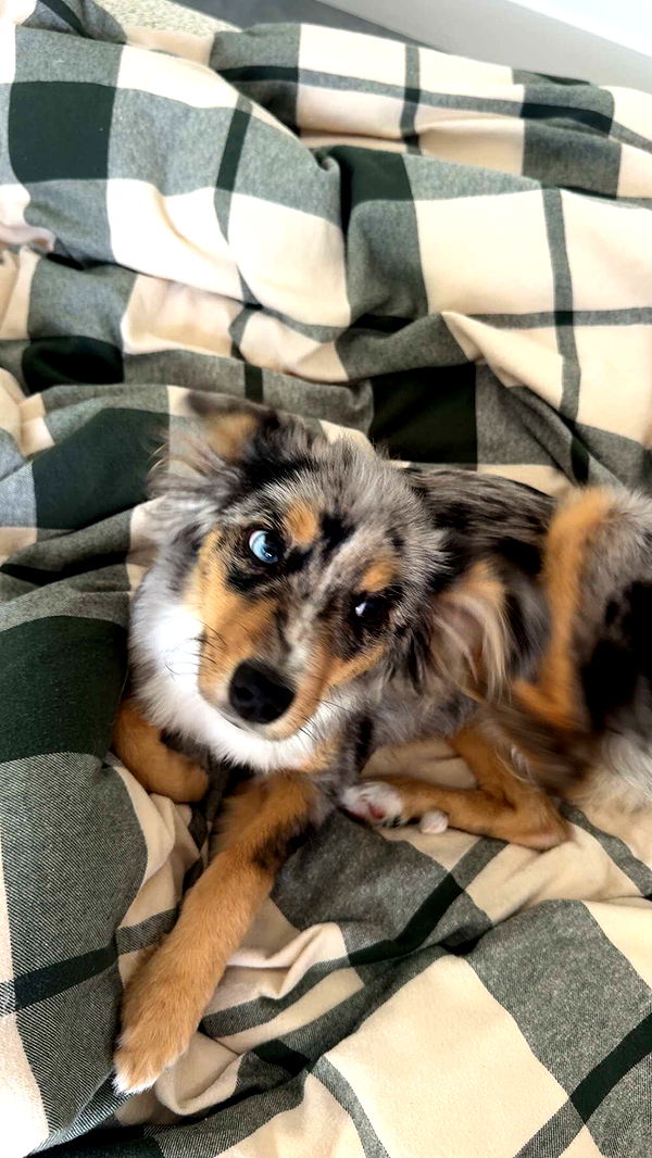 sadie.mckenna image ~ Altpins