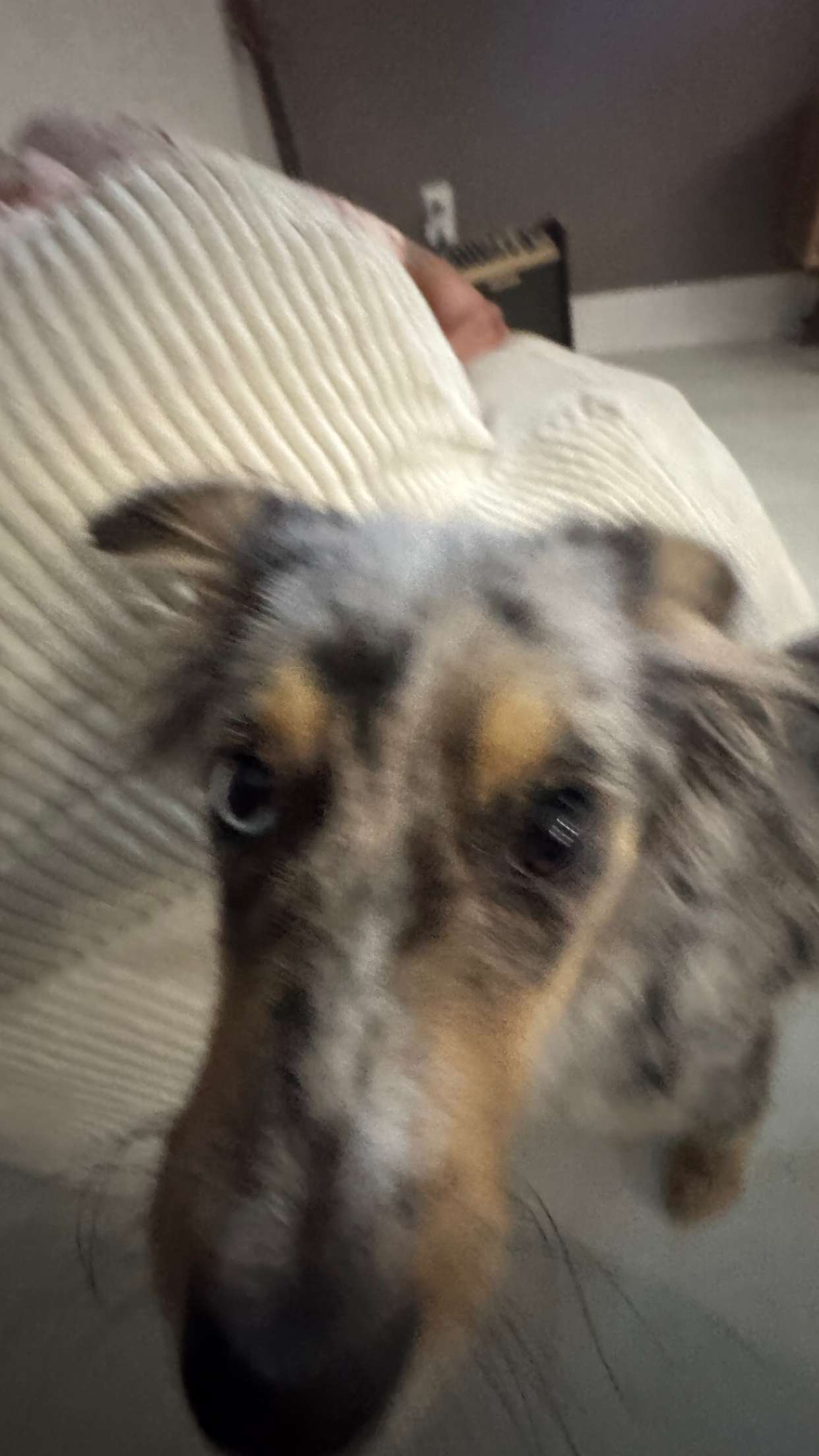 sadie.mckenna snapchat image archive image