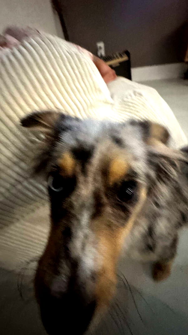 sadie.mckenna image ~ Altpins