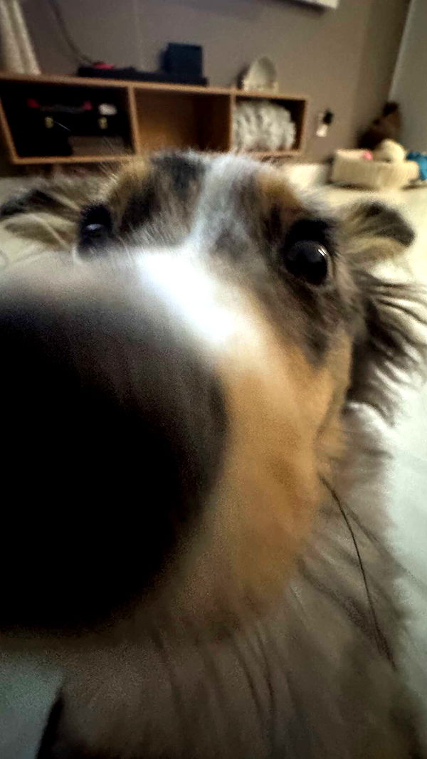 sadie.mckenna image ~ Altpins