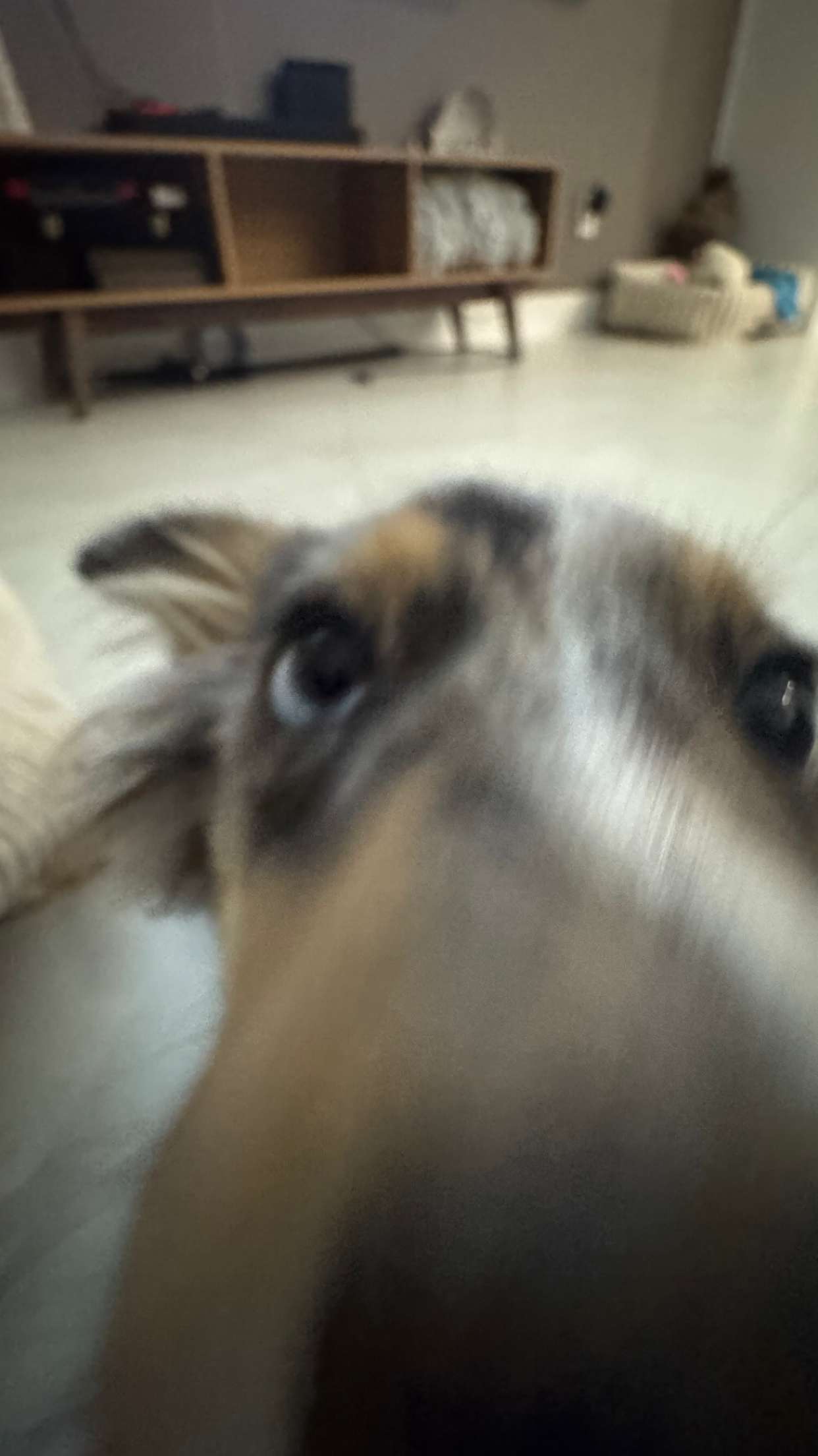 sadie.mckenna snapchat image archive image