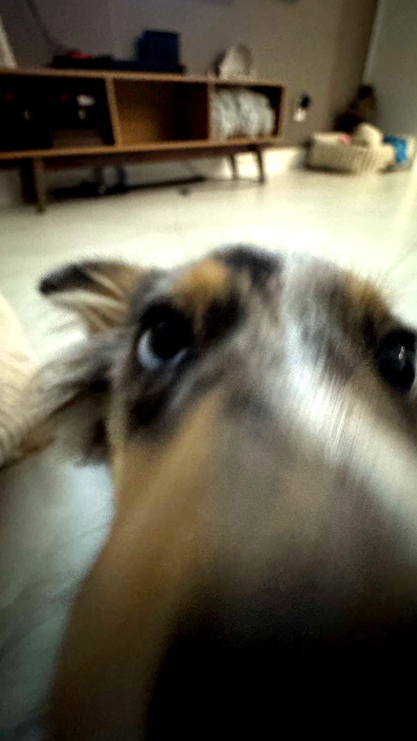 sadie.mckenna image ~ Altpins