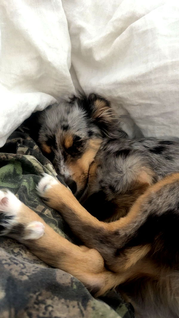 sadie.mckenna image ~ Altpins