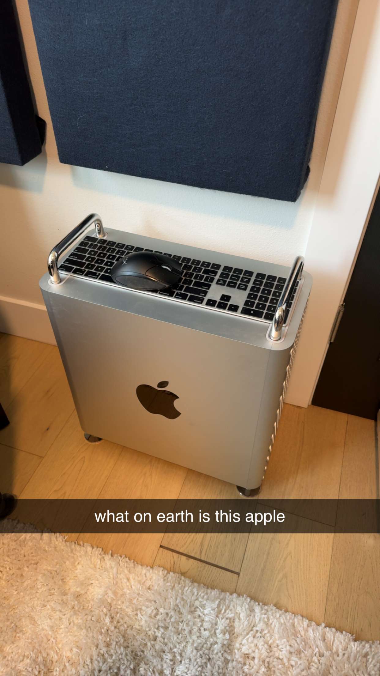 sadie.mckenna snapchat image archive image