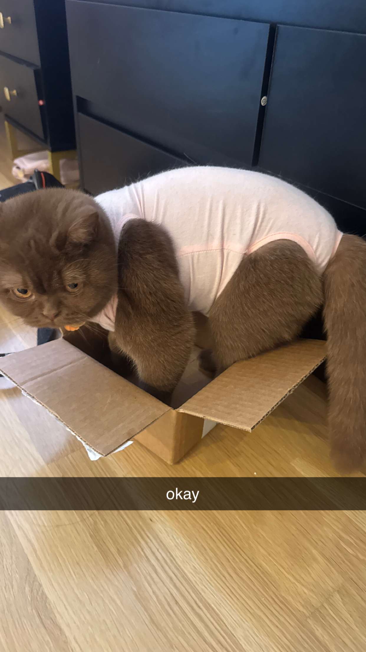 sadie.mckenna snapchat image archive image