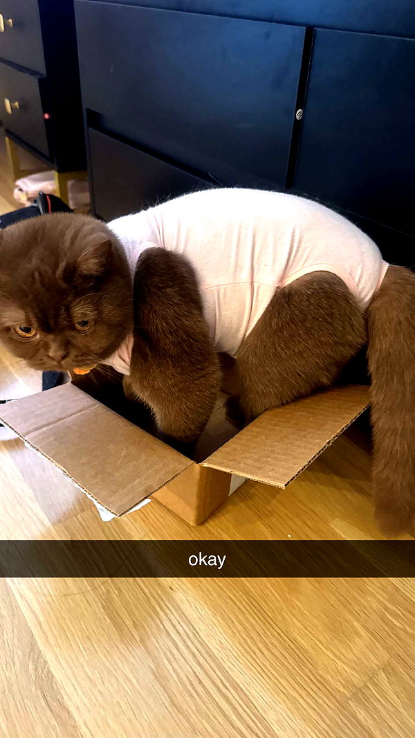 sadie.mckenna image ~ Altpins