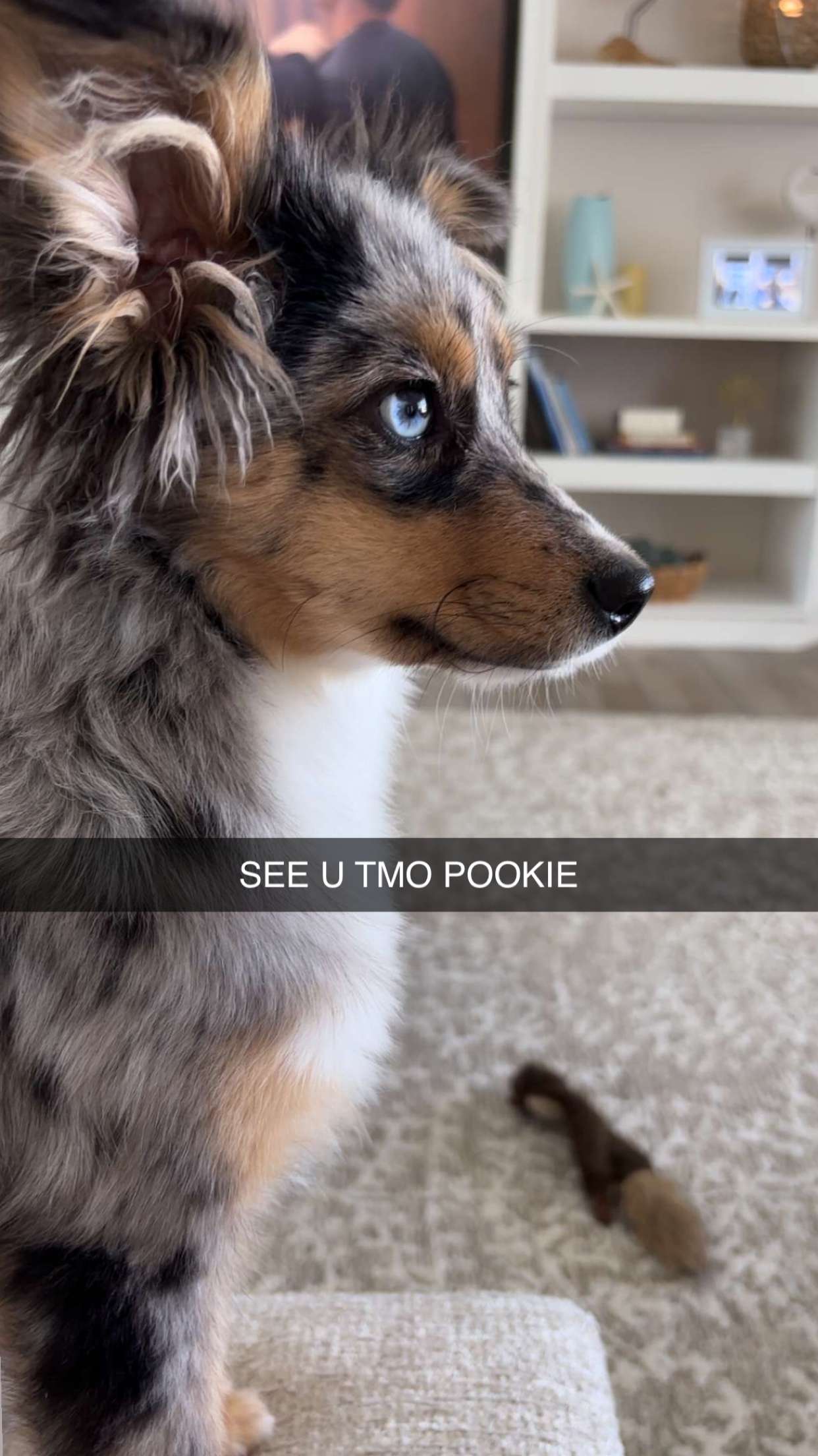 sadie.mckenna snapchat image archive image