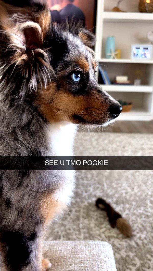 sadie.mckenna image ~ Altpins