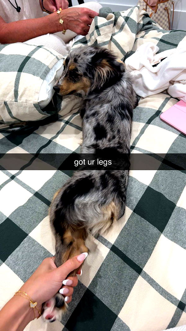 sadie.mckenna image ~ Altpins