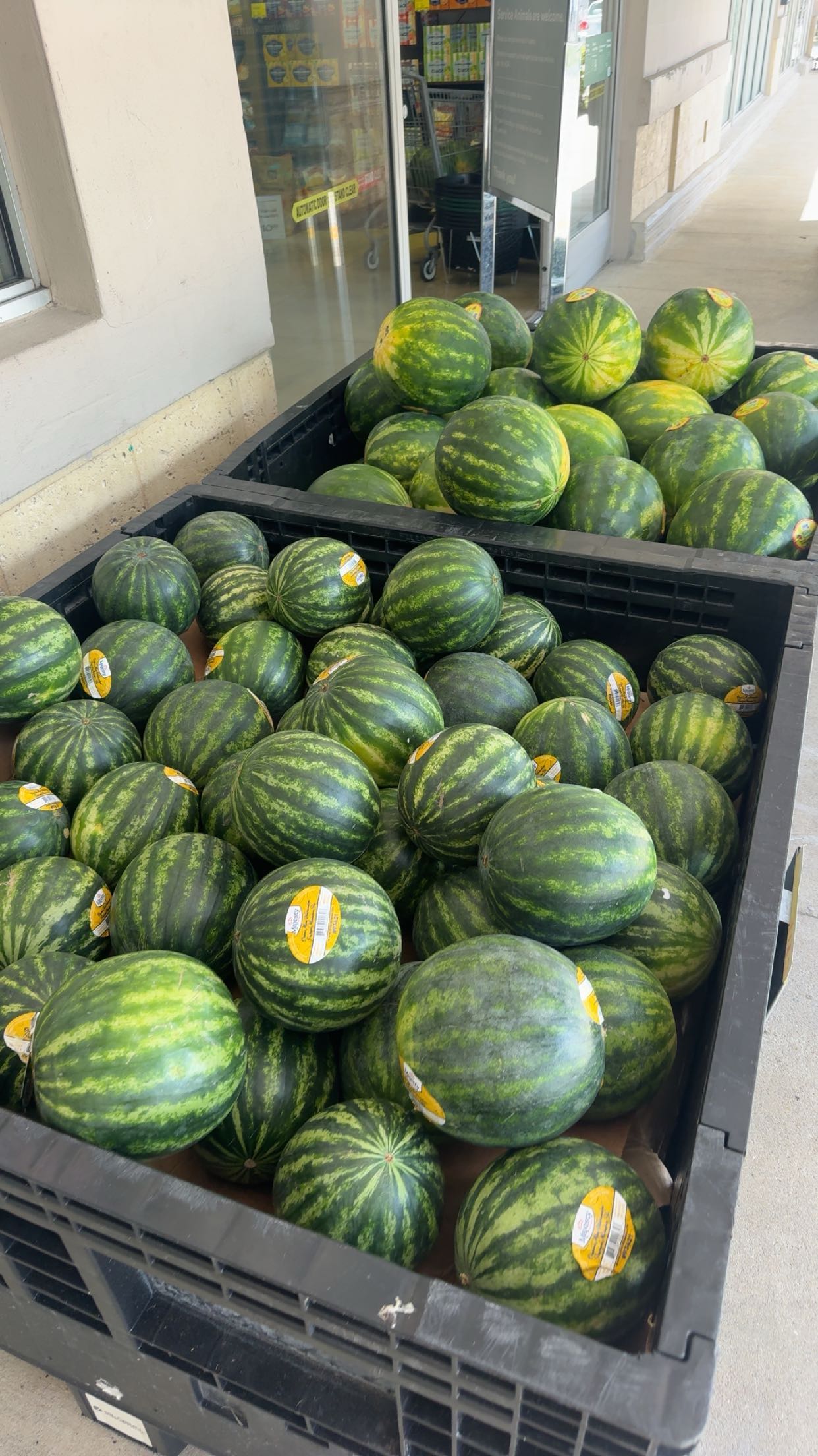 sadie.mckenna snapchat image archive image