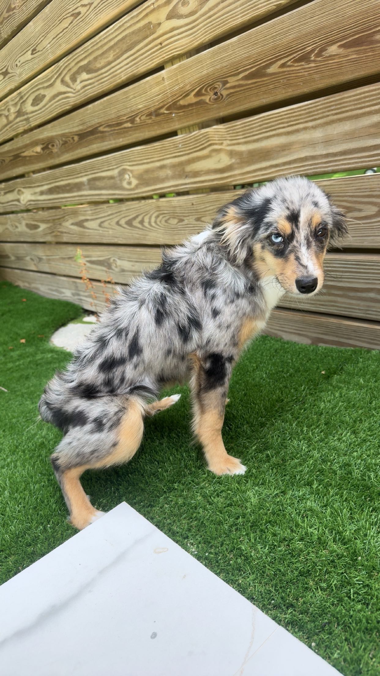 sadie.mckenna snapchat image archive image