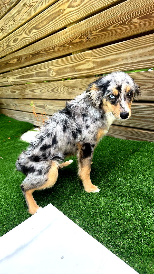 sadie.mckenna image ~ Altpins