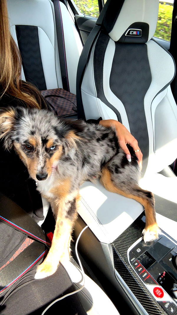 sadie.mckenna image ~ Altpins