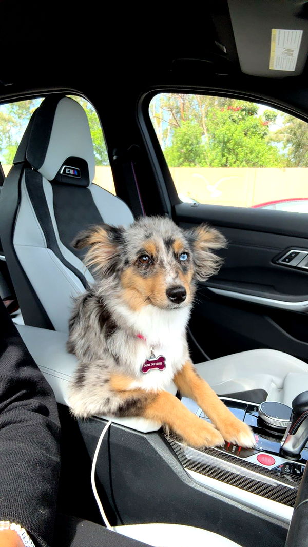 sadie.mckenna image ~ Altpins